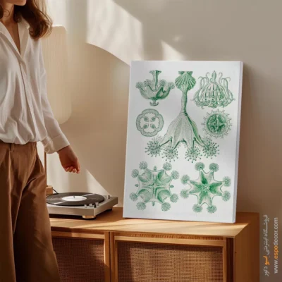 تابلو جانوران دریایی - اسپو دکور