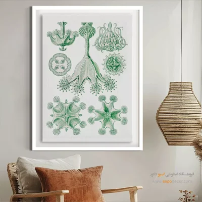 تابلو جانوران دریایی - اسپو دکور