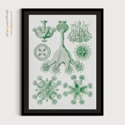 تابلو جانوران دریایی - اسپو دکور