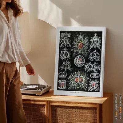 تابلو جانوران دریایی - اسپو دکور