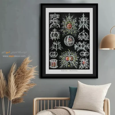 تابلو جانوران دریایی - اسپو دکور