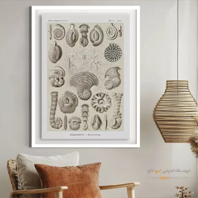 تابلو جانوران دریایی - اسپو دکور