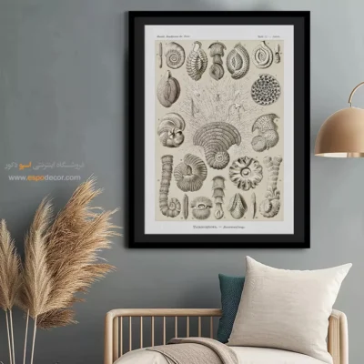 تابلو جانوران دریایی - اسپو دکور