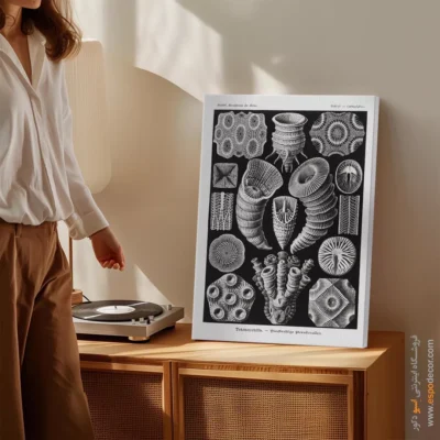 تابلو جانوران دریایی - اسپو دکور