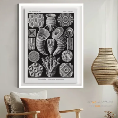 تابلو جانوران دریایی - اسپو دکور