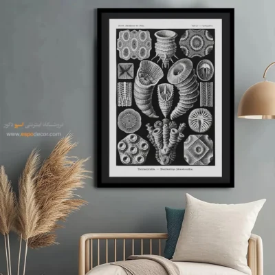 تابلو جانوران دریایی - اسپو دکور