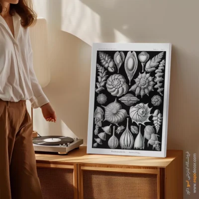 تابلو جانوران دریایی - اسپو دکور