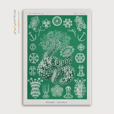 تابلو جانوران دریایی - اسپو دکور