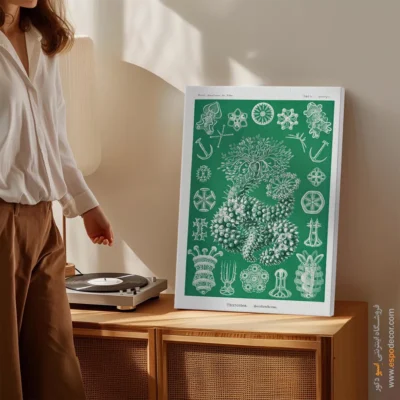 تابلو جانوران دریایی - اسپو دکور