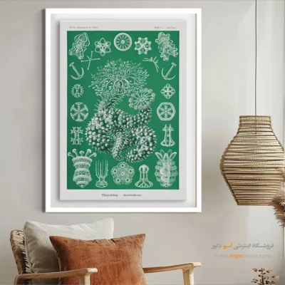 تابلو جانوران دریایی - اسپو دکور