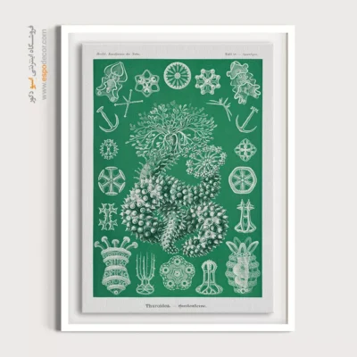 تابلو جانوران دریایی - اسپو دکور