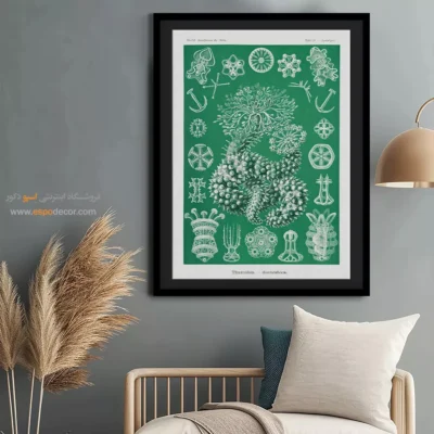 تابلو جانوران دریایی - اسپو دکور