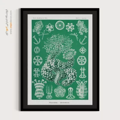 تابلو جانوران دریایی - اسپو دکور