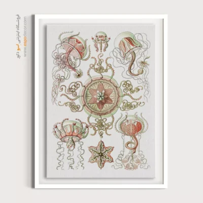 تابلو جانوران دریایی - اسپو دکور