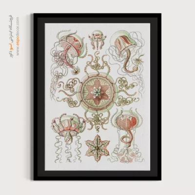 تابلو جانوران دریایی - اسپو دکور