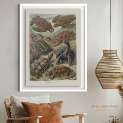 تابلو جانوران دریایی - اسپو دکور
