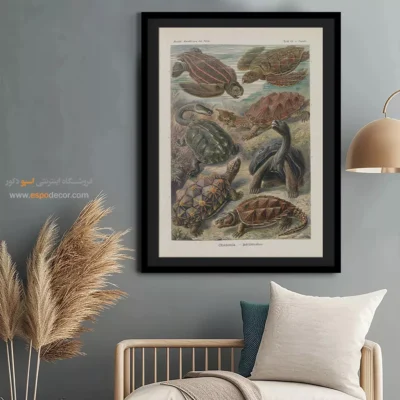 تابلو جانوران دریایی - اسپو دکور