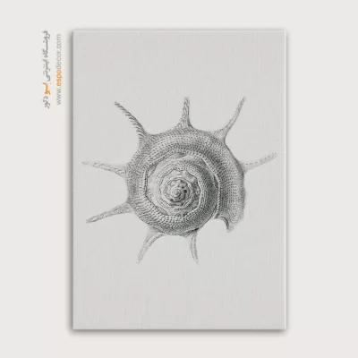 تابلو جانوران دریایی - اسپو دکور