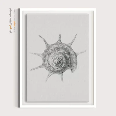 تابلو جانوران دریایی - اسپو دکور