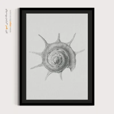 تابلو جانوران دریایی - اسپو دکور