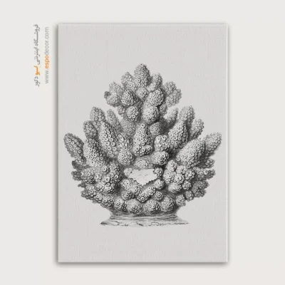 تابلو جانوران دریایی - اسپو دکور