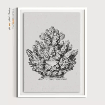 تابلو جانوران دریایی - اسپو دکور