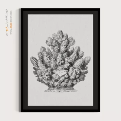 تابلو جانوران دریایی - اسپو دکور