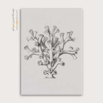 تابلو جانوران دریایی - اسپو دکور