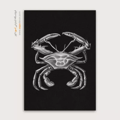 تابلو جانوران دریایی - اسپو دکور