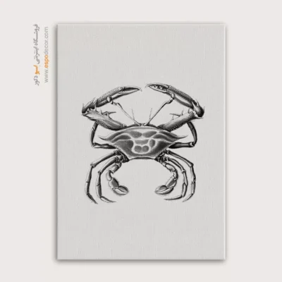 تابلو جانوران دریایی - اسپو دکور