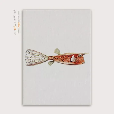 تابلو جانوران دریایی - اسپو دکور