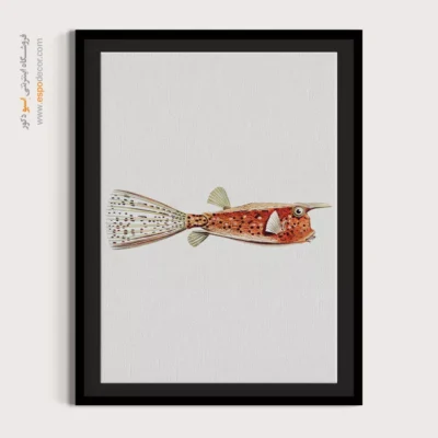 تابلو جانوران دریایی - اسپو دکور