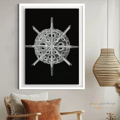 تابلو جانوران دریایی - اسپو دکور