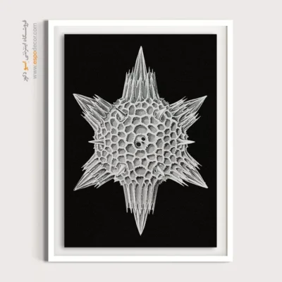 تابلو جانوران دریایی - اسپو دکور