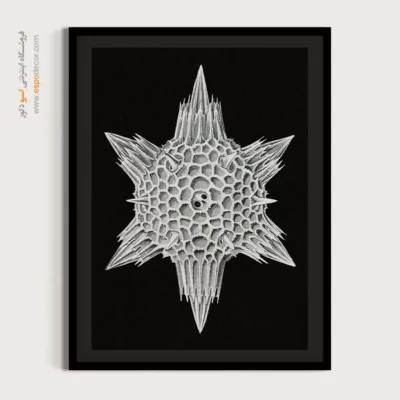 تابلو جانوران دریایی - اسپو دکور