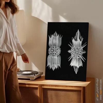 تابلو جانوران دریایی - اسپو دکور