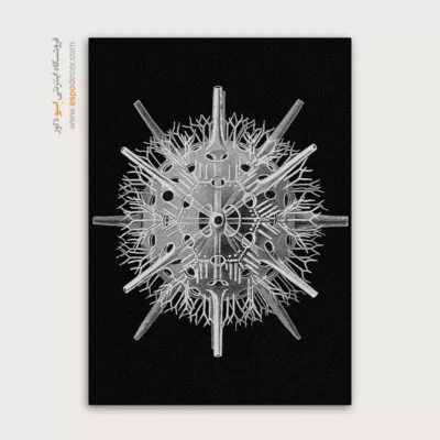 تابلو جانوران دریایی - اسپو دکور