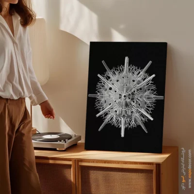 تابلو جانوران دریایی - اسپو دکور