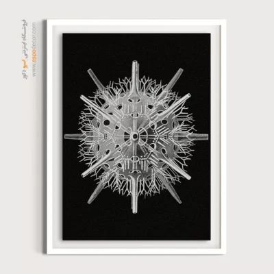 تابلو جانوران دریایی - اسپو دکور