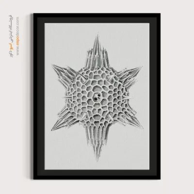 تابلو جانوران دریایی - اسپو دکور