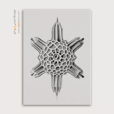 تابلو جانوران دریایی - اسپو دکور