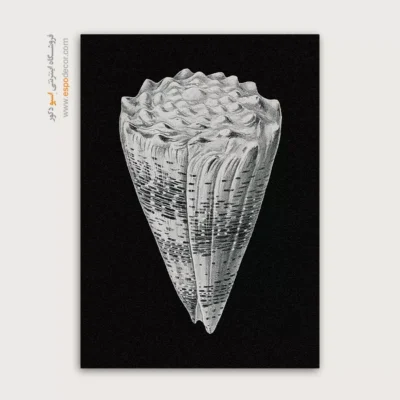 تابلو جانوران دریایی - اسپو دکور