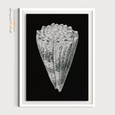 تابلو جانوران دریایی - اسپو دکور