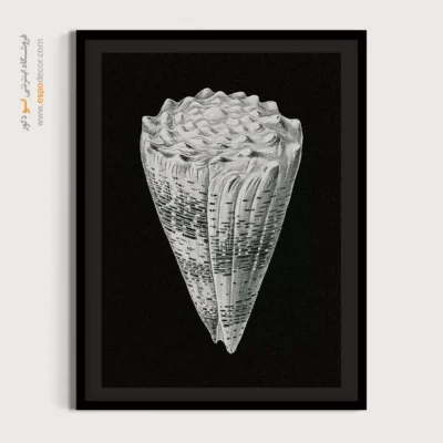 تابلو جانوران دریایی - اسپو دکور