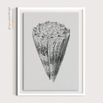 تابلو جانوران دریایی - اسپو دکور