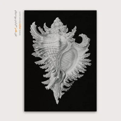 تابلو جانوران دریایی - اسپو دکور