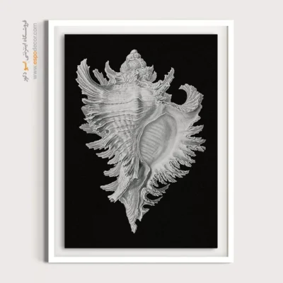 تابلو جانوران دریایی - اسپو دکور