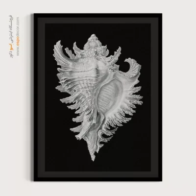تابلو جانوران دریایی - اسپو دکور