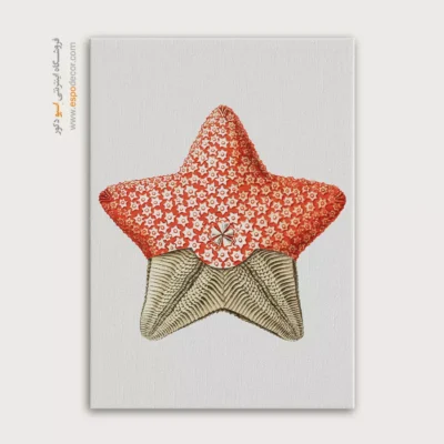 تابلو جانوران دریایی - اسپو دکور