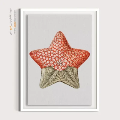 تابلو جانوران دریایی - اسپو دکور